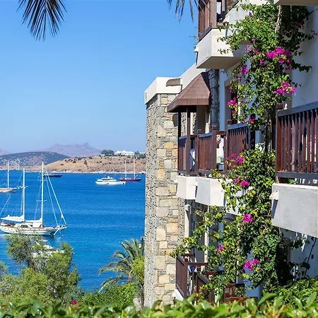 Diamond Of Bodrum